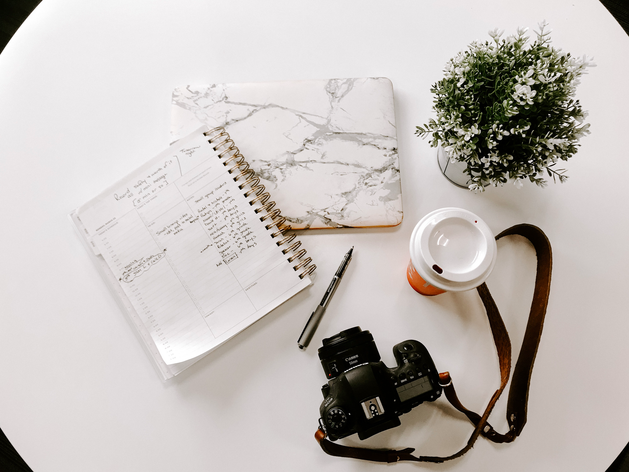 If you want to build a profitable blog, you need to create high-quality content in your niche