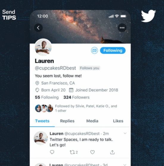 Twitter Spaces