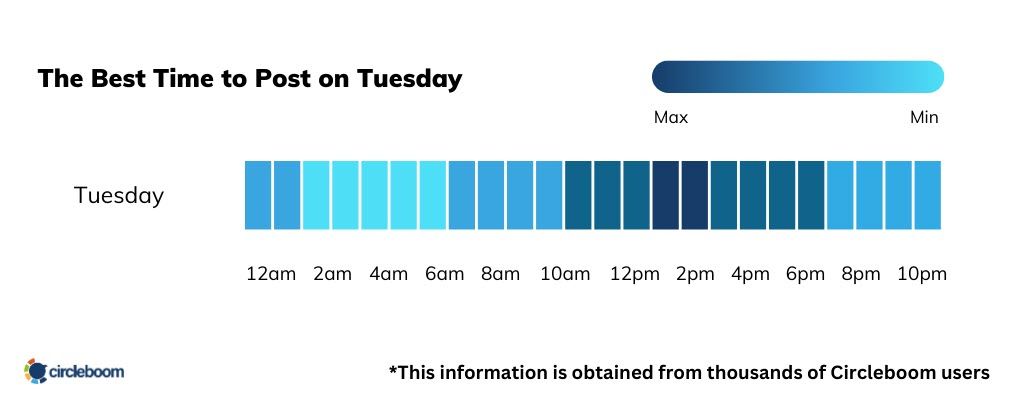 What is the best time to post on Tuesday for Google My Business?