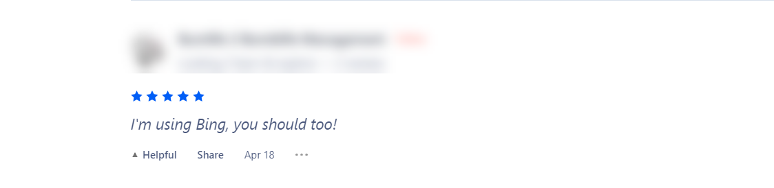 Bing review