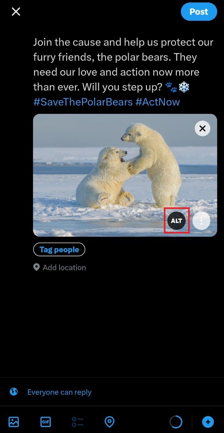 How to add alt text to images on Twitter
