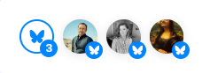 Multiple Bluesky Accounts