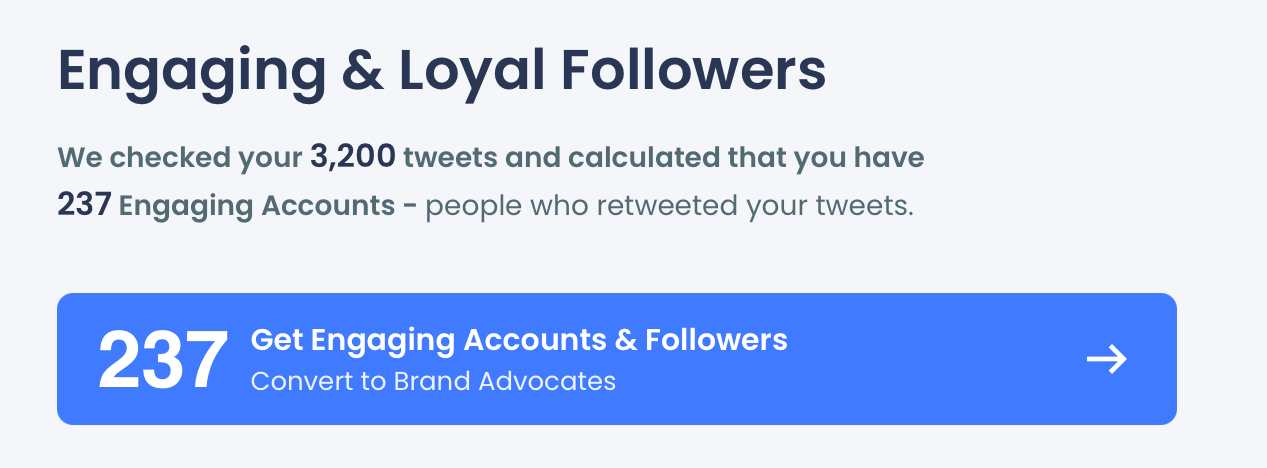 Circleboom starts analyzing your account