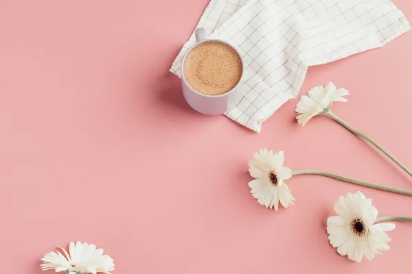 Best tools for scheduling posts with image alt text