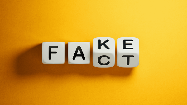How to conduct fake followers audit on Twitter: Clean up service for 2025!