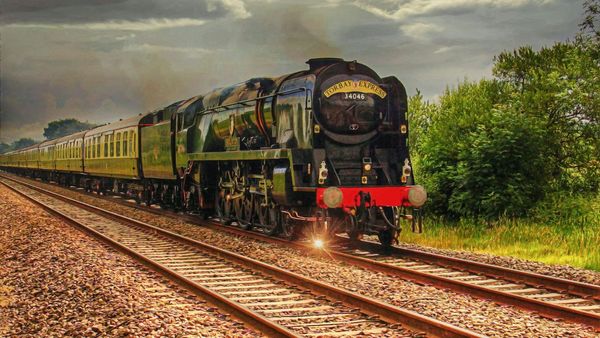 What is a follow train on Twitter?