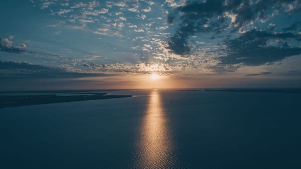 Does deleting tweets affect the algorithm?