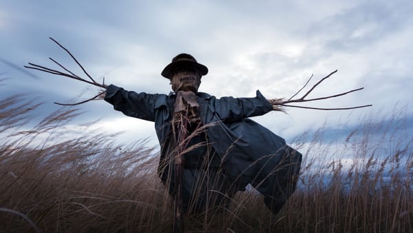 Twitter Scarecrows: The Silent Engagement Killers You Need to Remove