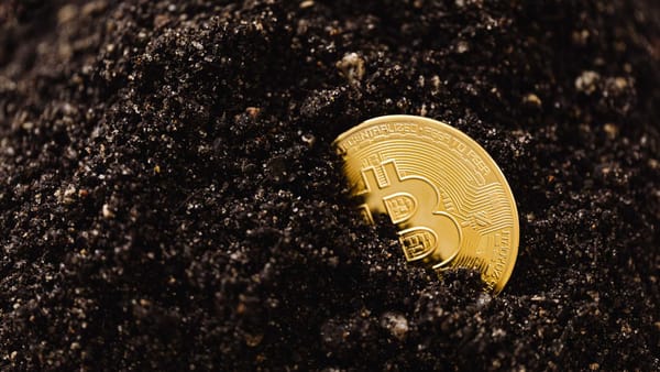 Track Crypto Masters Daily and Catch New Projects Early