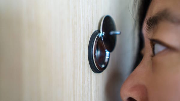 How to Check Someone’s New Followers on X w/ Daily Reports