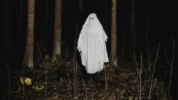 Check Twitter Ghost Ban