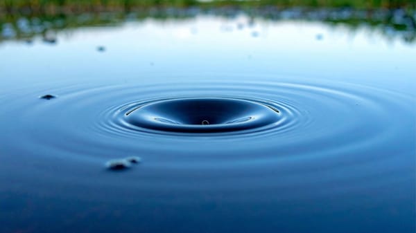 Why Don’t My Twitter/X Posts Reach Past My Followers?