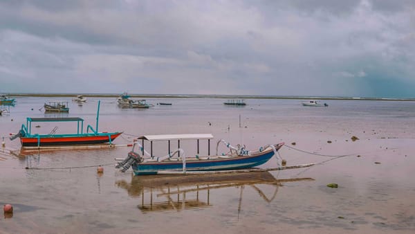 How Do I Avoid Bots and Low-Quality Traffic on X?