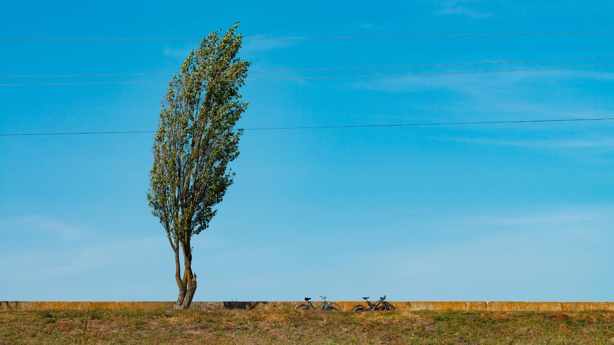 Why Are My Twitter Followers Not Retweeting or Liking My Tweets?